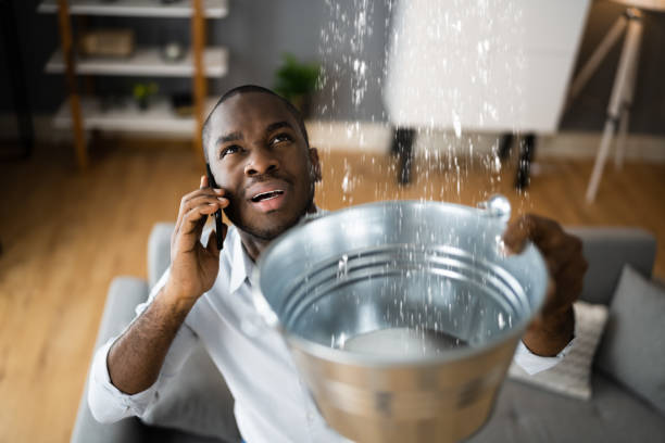 Best Water damage restoration cost  in Poplar Grove, IL