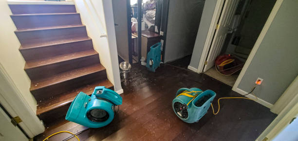 Best Water damage restoration near me  in Poplar Grove, IL