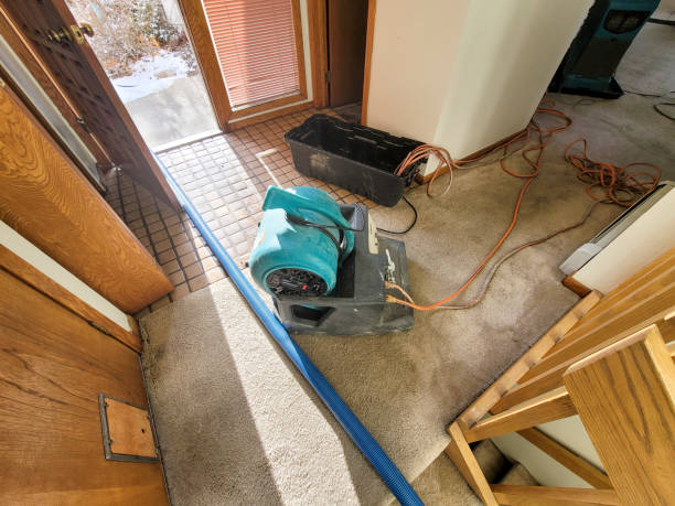 Reliable Poplar Grove, IL Water damage restoration Solutions