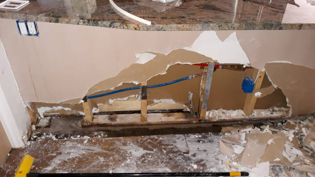 Best Professional water damage repair  in Poplar Grove, IL