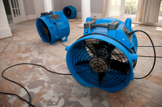  Poplar Grove, IL Water damage restoration Pros