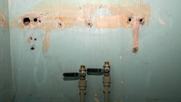 Water damage restoration insurance claims in Poplar Grove, IL