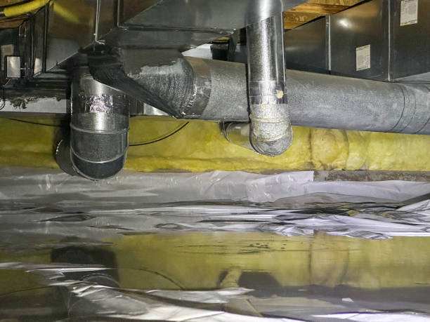 Best Water damage contractors near me  in Poplar Grove, IL