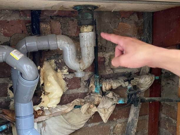 Best Fire Damage Restoration  in Poplar Grove, IL