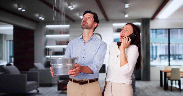 Best Water damage restoration company  in Poplar Grove, IL
