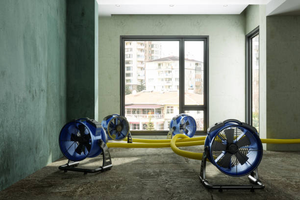 Best Basement water damage restoration  in Poplar Grove, IL